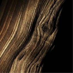 Deals Guerlain Store -Deals Guerlain Store 74021482 xxl a1