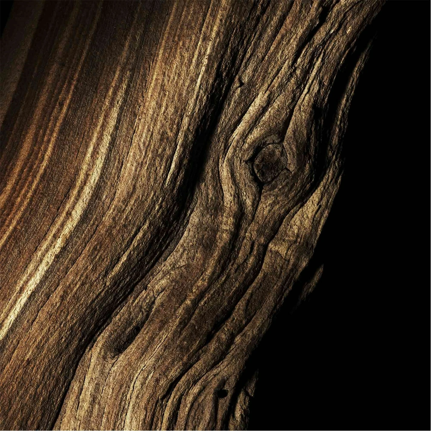 Best Pirce β Best Pirce π Guerlain Santal Royal Eau de Parfum 125ml π π₯ 4 Best Pirce β Best Pirce π Guerlain Santal Royal Eau de Parfum 125ml π π₯ - Image 2