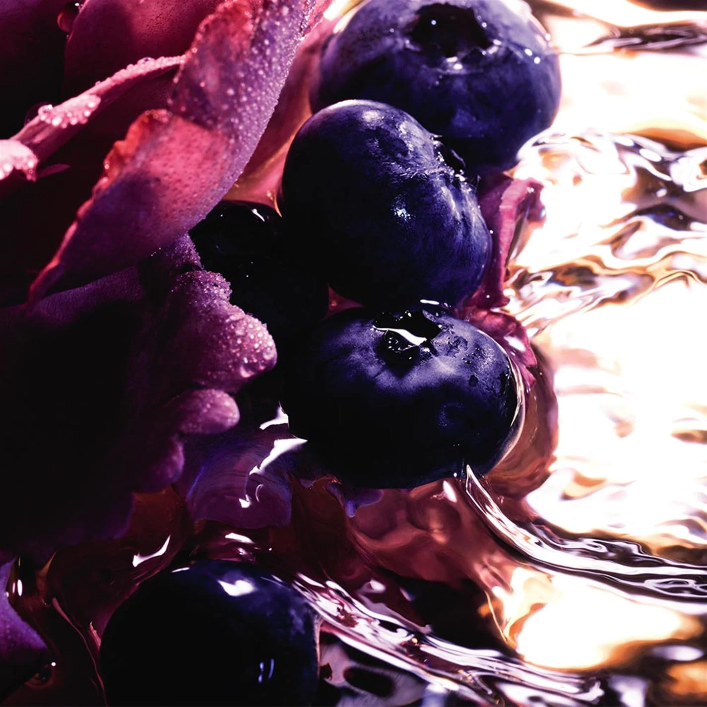 Hot Sale β Promo π Guerlain La Petite Robe Noire Eau de Parfum Intense 𧨠π 4 Hot Sale β Promo π Guerlain La Petite Robe Noire Eau de Parfum Intense 𧨠π - Image 2