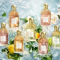 Hot Sale 😉 Best deal 🌟 Guerlain Aqua Allegoria Nettare Di Sole Eau de Toilette 🌟 🥰 -Deals Guerlain Store 75104469 xxl a4