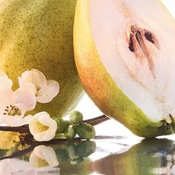 Deals π₯° Brand new βοΈ Guerlain Mon Guerlain Sparkling Bouquet Eau de Parfum π β€οΈ 9 Deals π₯° Brand new βοΈ Guerlain Mon Guerlain Sparkling Bouquet Eau de Parfum π β€οΈ -Deals Guerlain Store 75484369 xxl a2