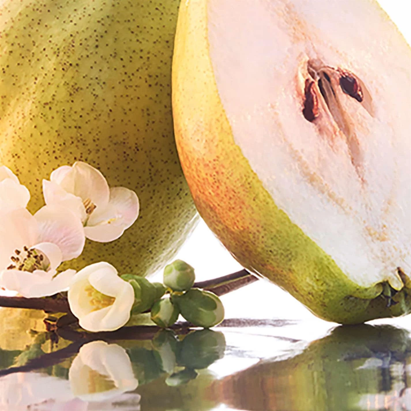 Deals π₯° Brand new βοΈ Guerlain Mon Guerlain Sparkling Bouquet Eau de Parfum π β€οΈ 5 Deals π₯° Brand new βοΈ Guerlain Mon Guerlain Sparkling Bouquet Eau de Parfum π β€οΈ - Image 3