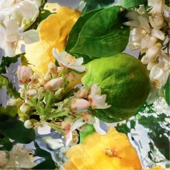 Buy 🔥 Best Pirce 🔥 Guerlain Aqua Allegoria Bergamote Calabria Eau de Toilette 👏 ✨ -Deals Guerlain Store 76295669 xxl a2