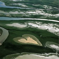 Best Pirce ✨ New 🔔 Guerlain Aqua Allegoria Herba Fresca Eau de Toilette 🤩 👍 -Deals Guerlain Store 76296169 xxl a2