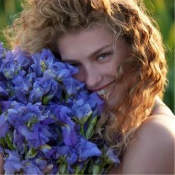 Discount ❤️ Top 10 🔔 Guerlain Aqua Allegoria Nettare Di Sole Eau de Toilette 🔔 👏 -Deals Guerlain Store 76296369 xxl a3