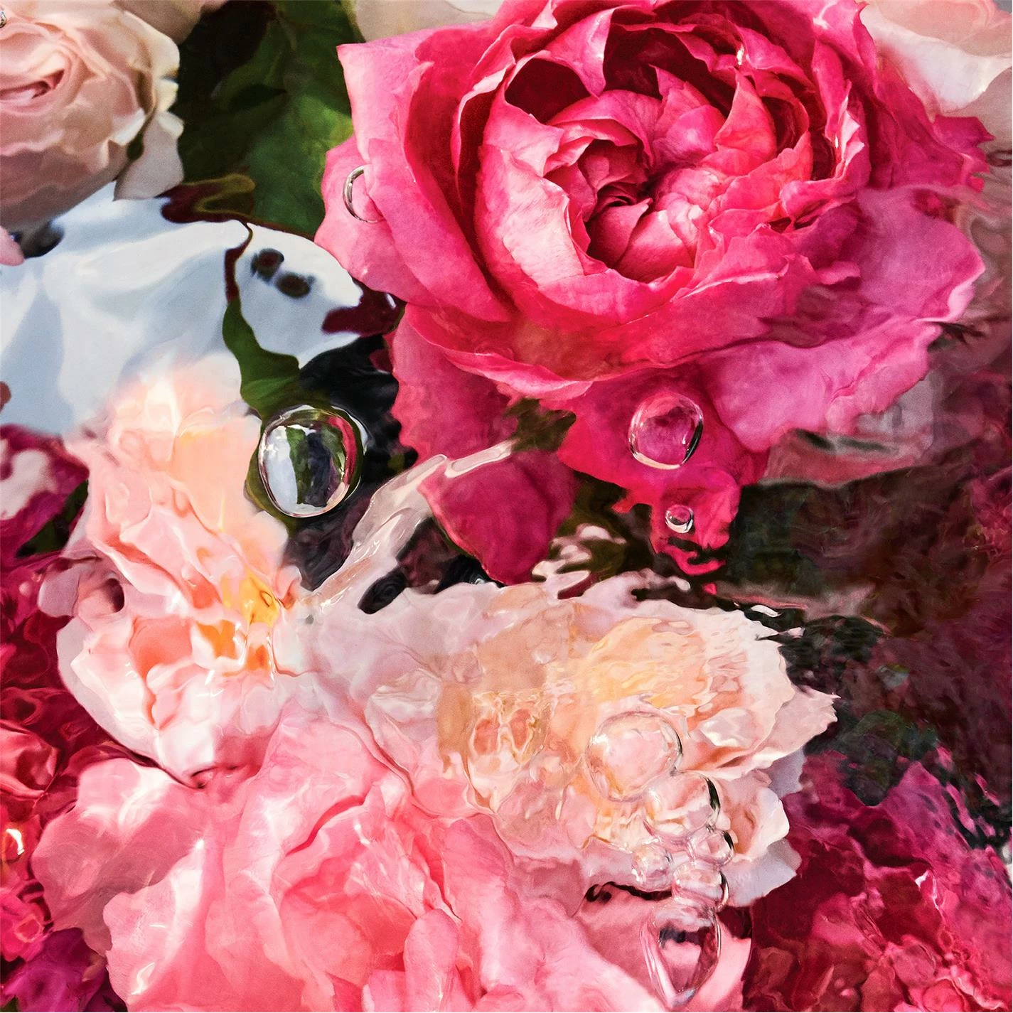 Coupon π€© Cheapest π Guerlain Aqua Allegoria Rosa Rossa Eau de Toilette π π€© 6 Coupon π€© Cheapest π Guerlain Aqua Allegoria Rosa Rossa Eau de Toilette π π€© - Image 4