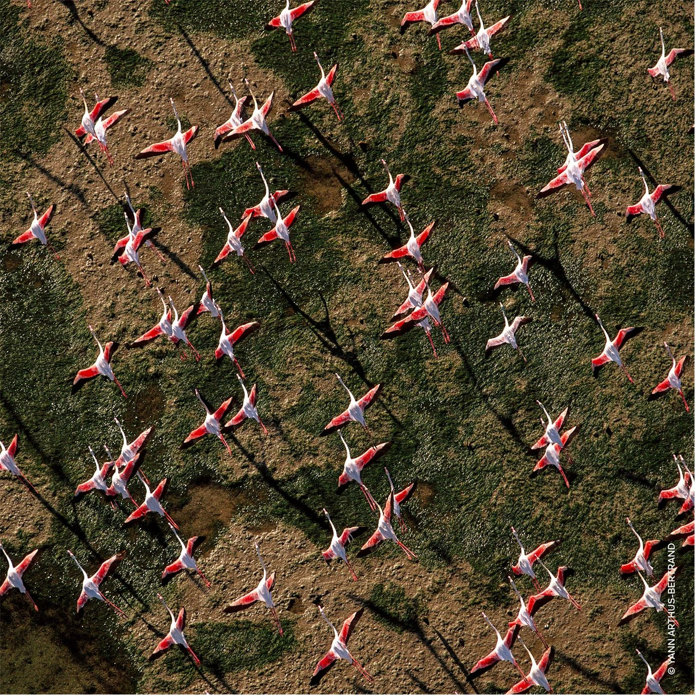 Coupon π€© Cheapest π Guerlain Aqua Allegoria Rosa Rossa Eau de Toilette π π€© 7 Coupon π€© Cheapest π Guerlain Aqua Allegoria Rosa Rossa Eau de Toilette π π€© - Image 5