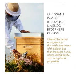 Hot Sale 🔥 Buy ✔️ Guerlain Abeille Royale Rich Day Cream 🧨 ⭐ -Deals Guerlain Store 77938001 xxl a3