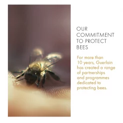 Hot Sale 🔥 Buy ✔️ Guerlain Abeille Royale Rich Day Cream 🧨 ⭐ -Deals Guerlain Store 77938001 xxl a4